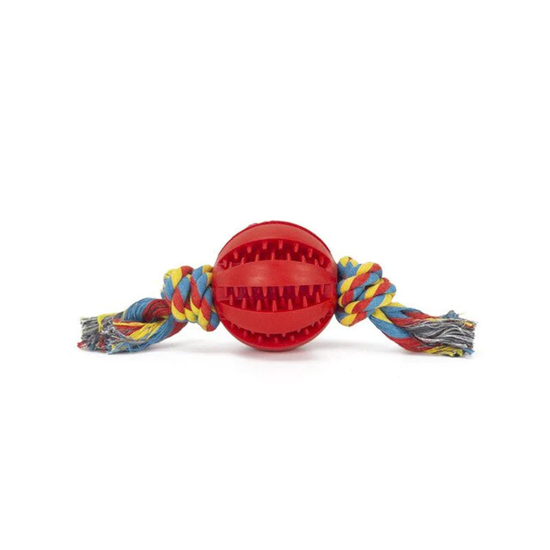 "Get It Today! Interactive Dog Chew Toy Ball - Fun & Dental Care in One!"