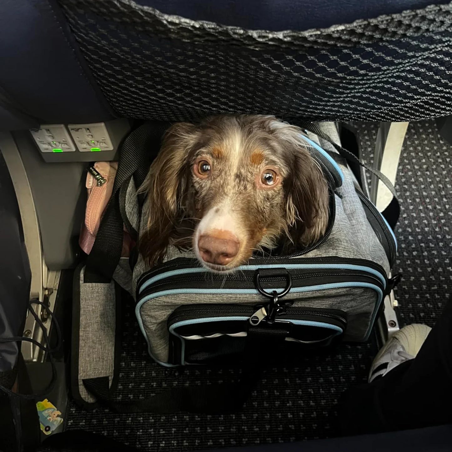 "Ultimate Airline Compliant Pet Carrier – TSA Approved, Expandable Design with Cozy Fleece Pad & Pockets for Cats and Dogs up to 20 lbs!"