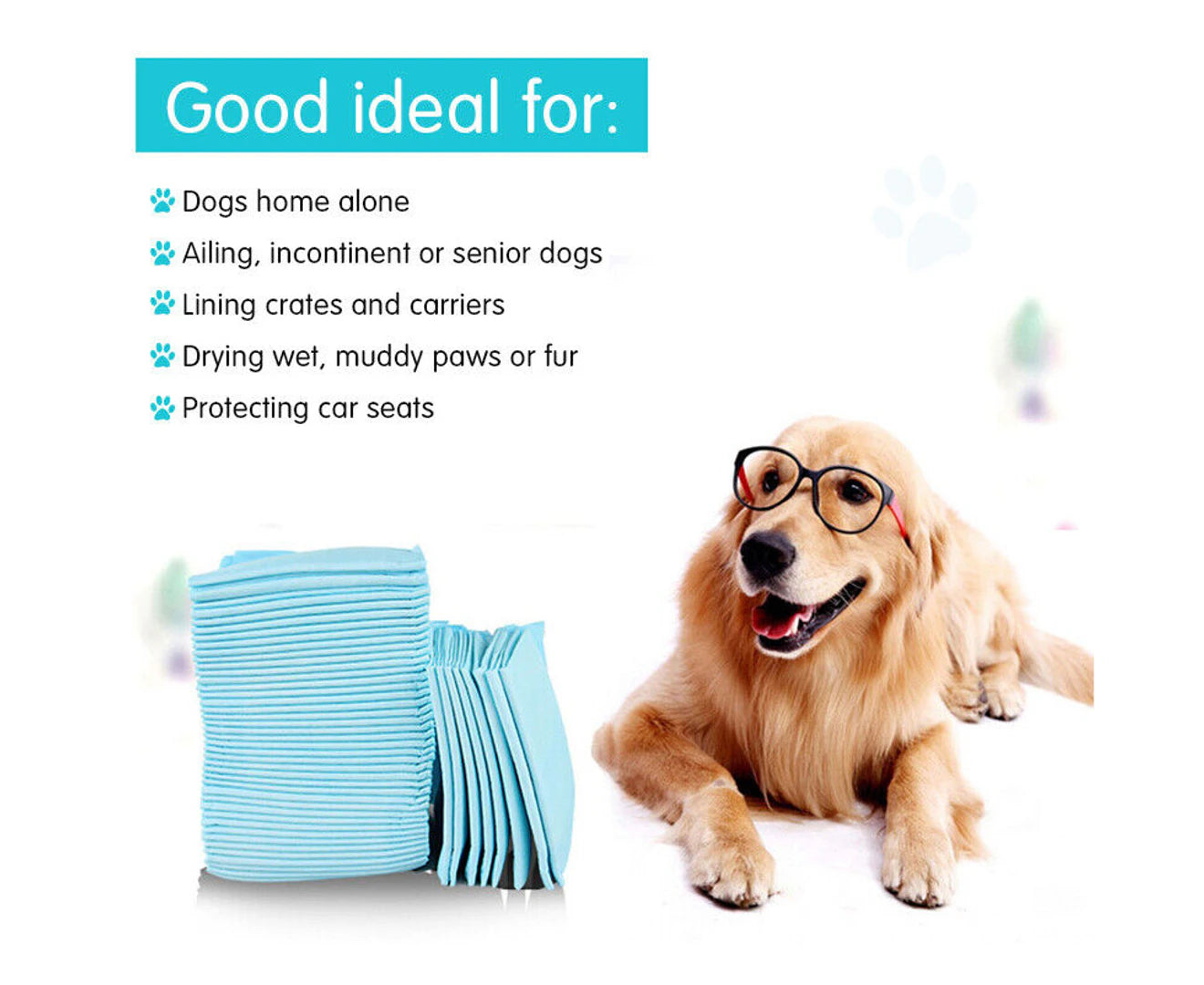 Blue 50Pcs Pet Training Pads 400/200 Puppy Dog Toilet Pee Indoor Super Absorbent 60X60Cm