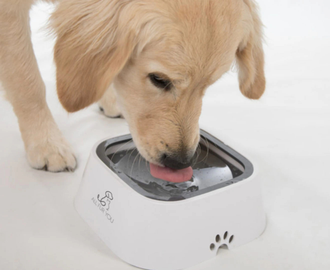 1L Anti-Splash Pet Water Bowl