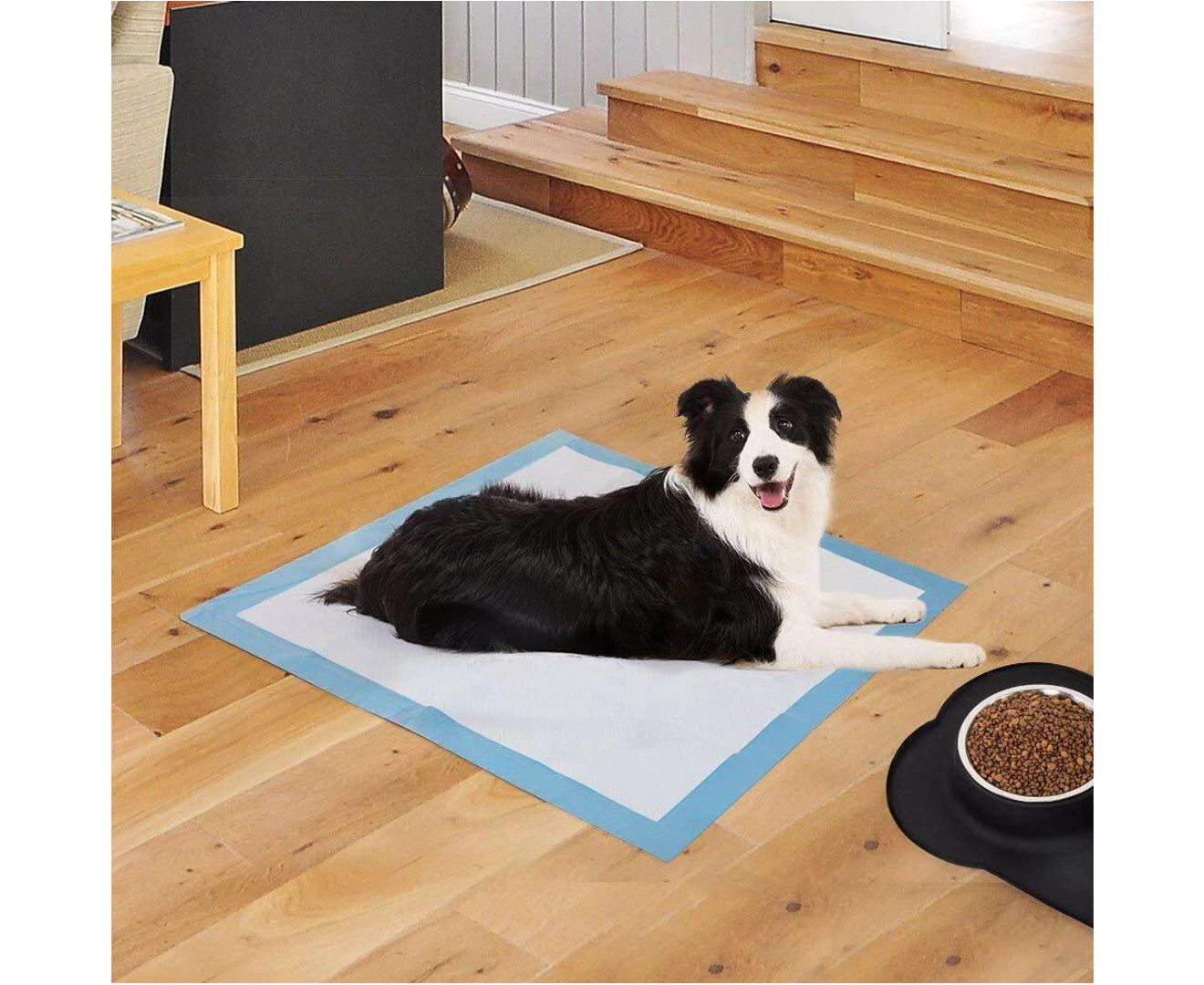 Blue 50Pcs Pet Training Pads 400/200 Puppy Dog Toilet Pee Indoor Super Absorbent 60X60Cm